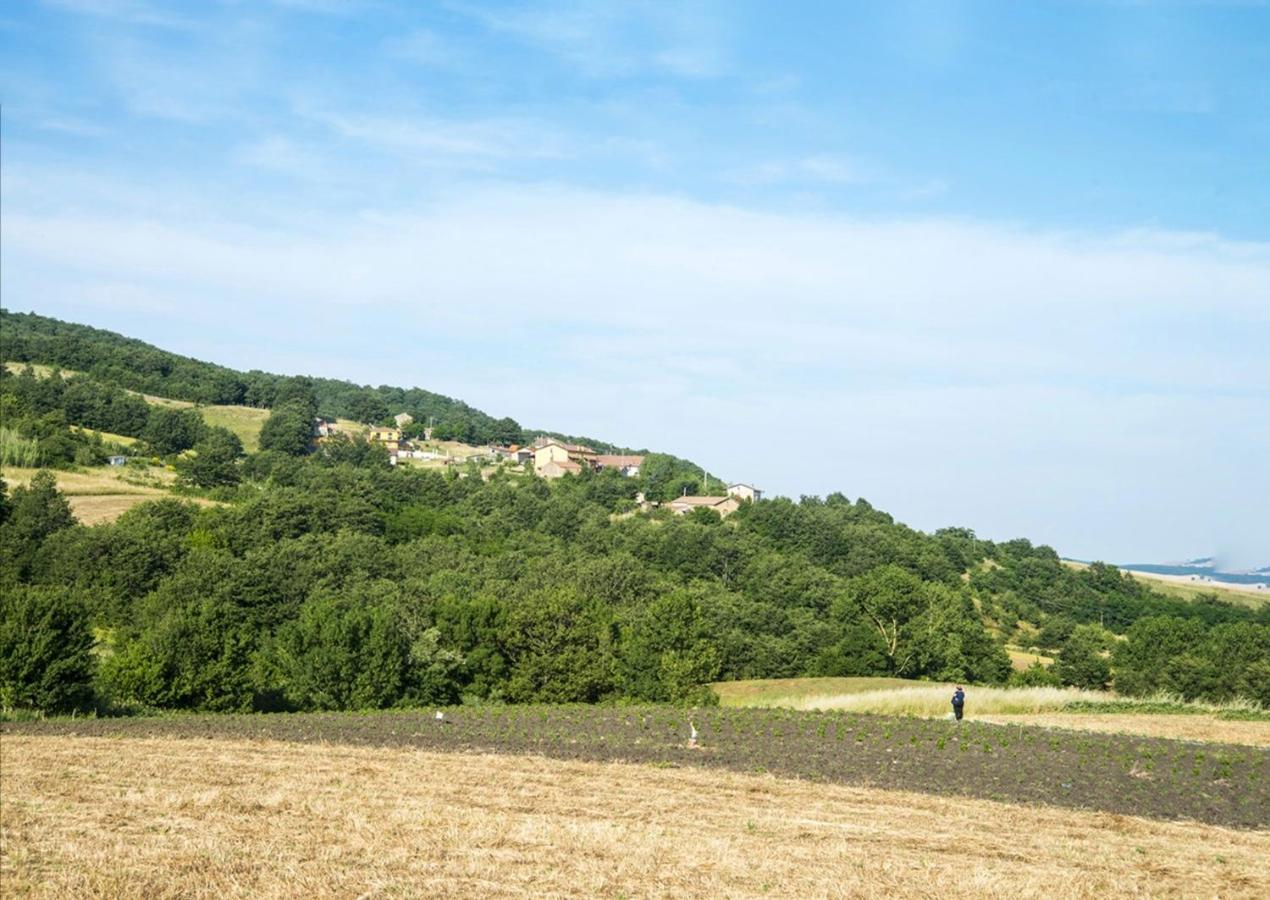 Le Pitture Casa Di Campagna Filiano Εξωτερικό φωτογραφία