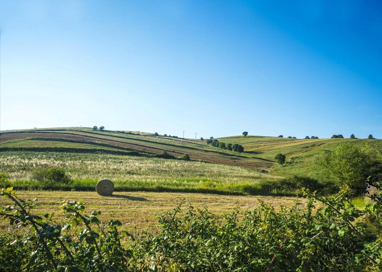 Le Pitture Casa Di Campagna Filiano Εξωτερικό φωτογραφία